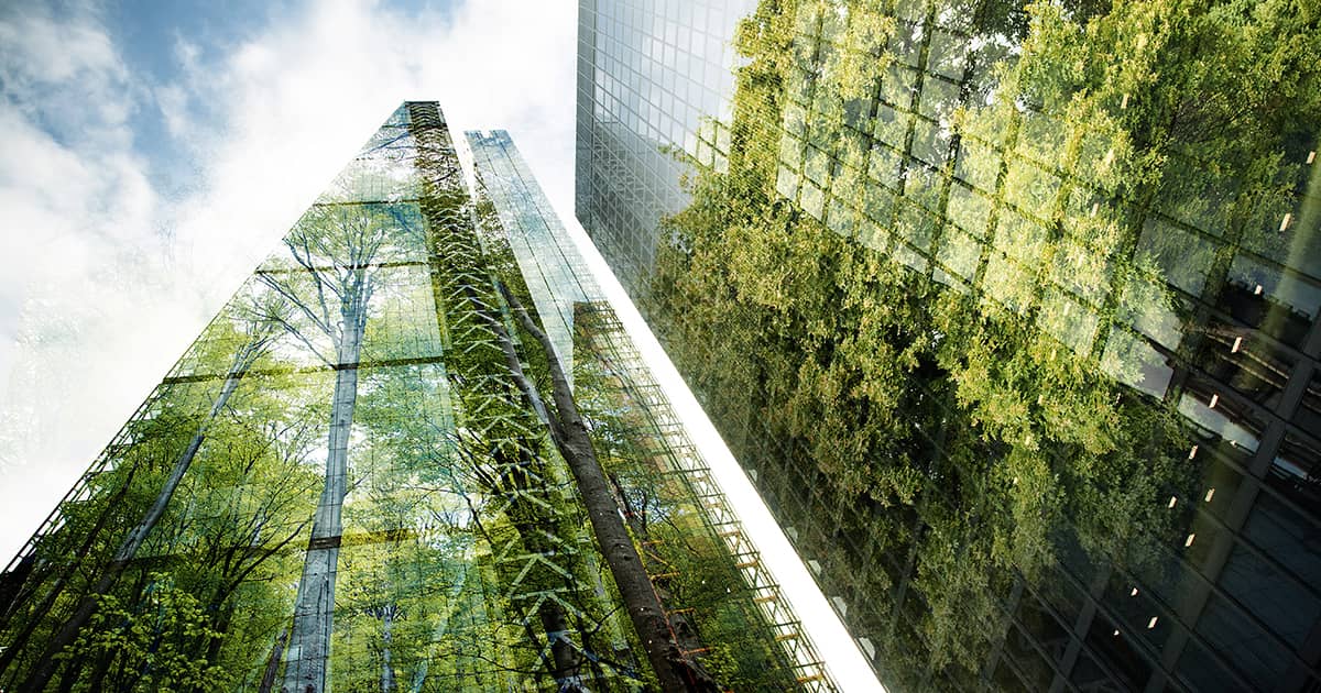 Sustentabilidad en el Mundo Inmobiliario: Estrategias para un Futuro Sostenible